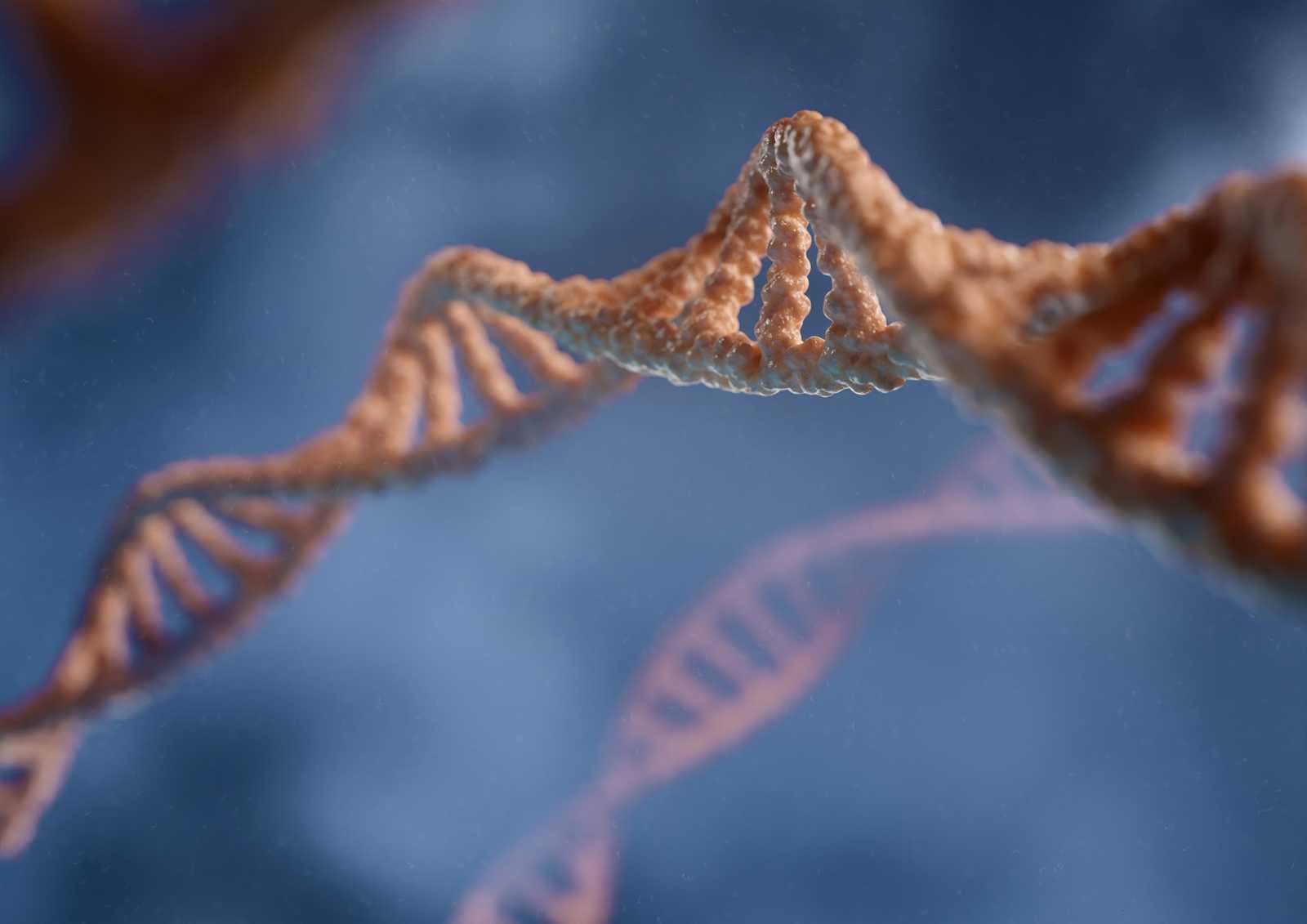 What Are the Potential Risks of Genetic Engineering?