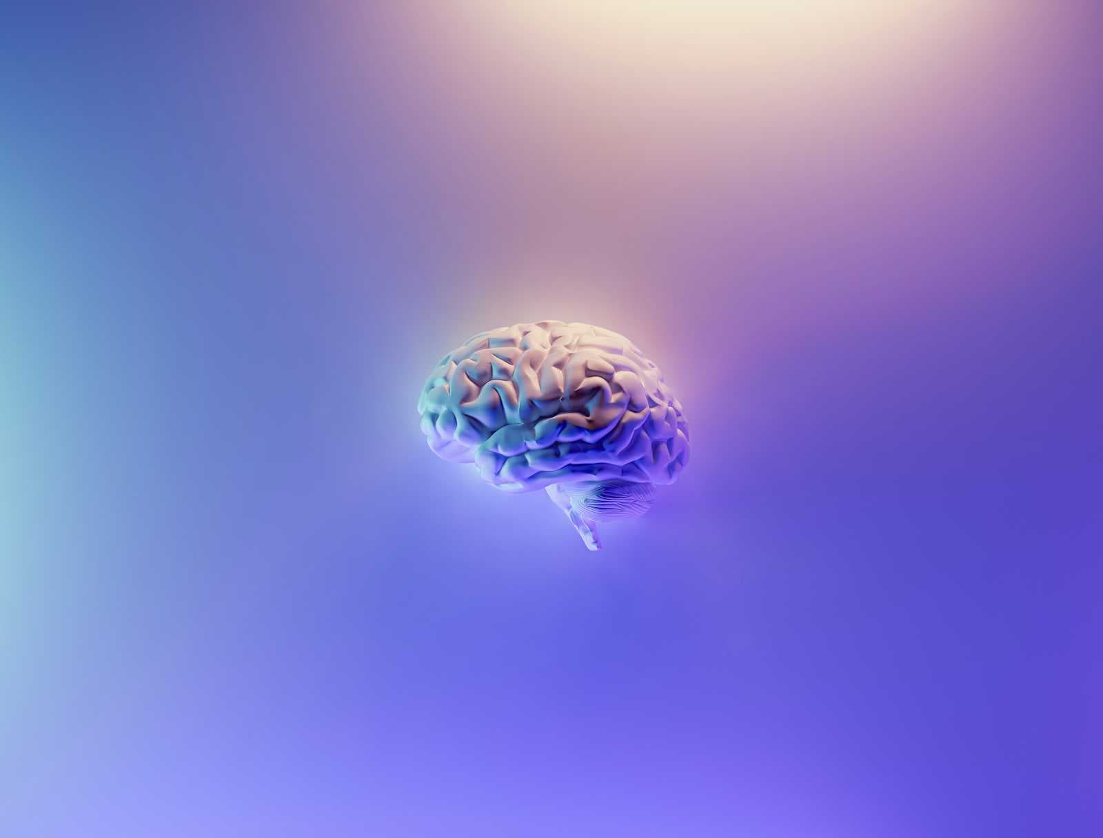 How Does the Human Brain Process Emotions?