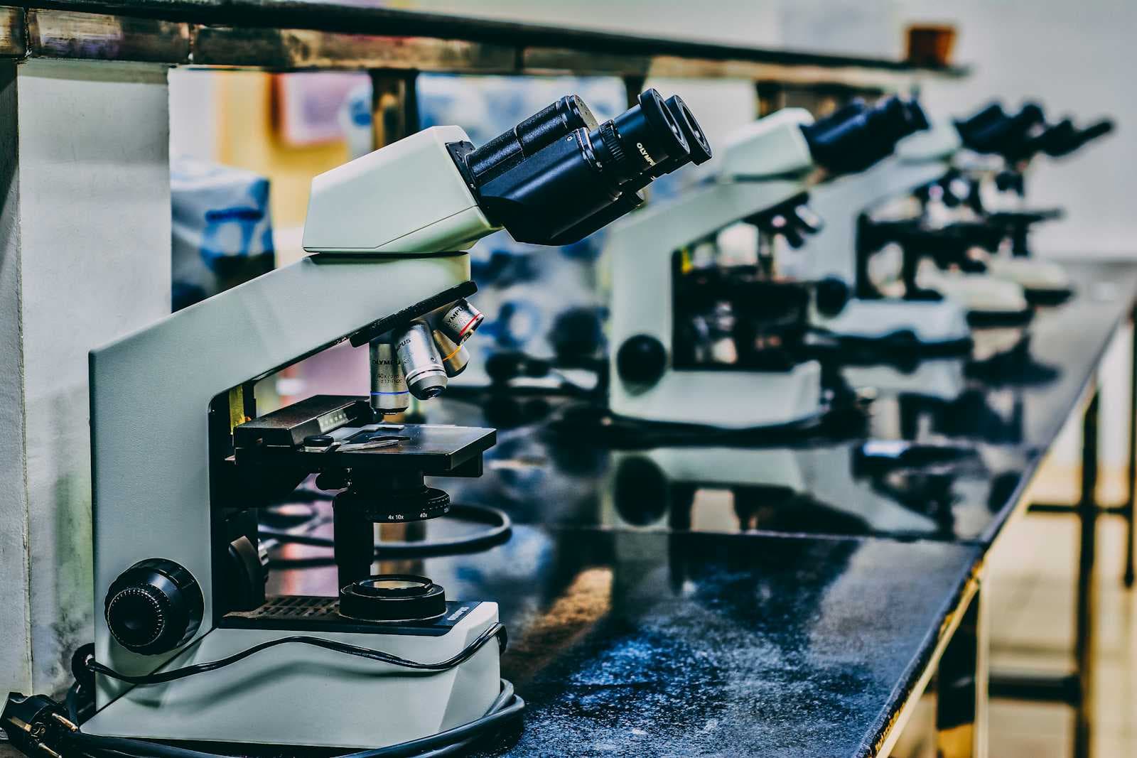 The Vanishing Lab Bench: Why Science Jobs Are So Hard to Find Under the Second Trump Term