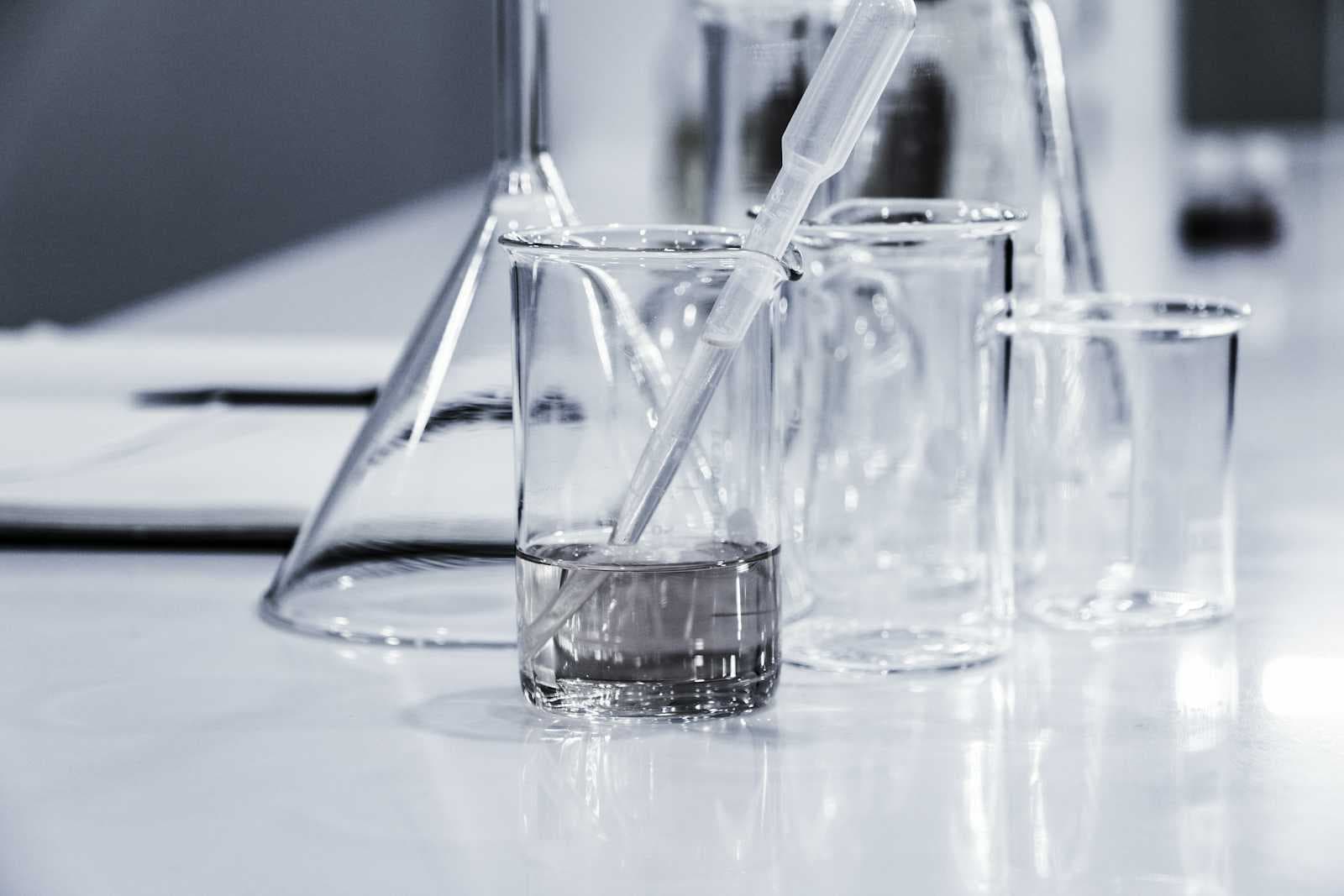 Looking Beyond the Border: How to Find Science Jobs Under a Second Trump Term and Why It’s Worth Looking Abroad